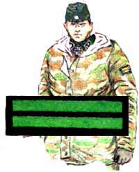 pogon-werm-16-5.jpg (8378 bytes)