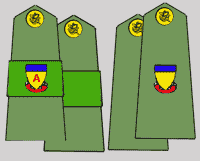 us-uniform-14-4.gif (3561 bytes)