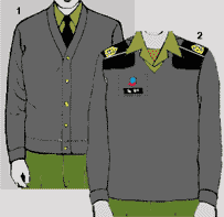 us-uniform-14b-8.gif (4872 bytes)